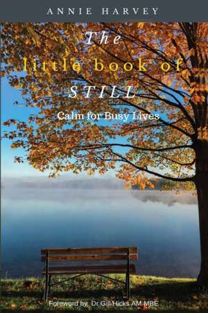 The Little Book of Still de Annie Harvey