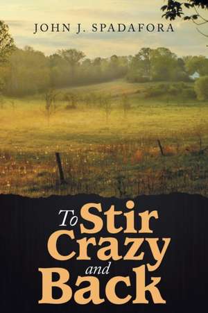 To Stir Crazy and Back de John J. Spadafora