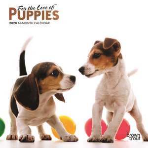 Puppies, for the Love of 2020 Mini Wall Calendar de BROWNTROUT US