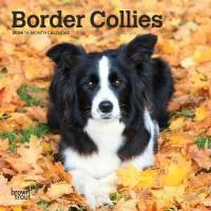 Border Collies 2024 Mini 7x7 de Browntrout