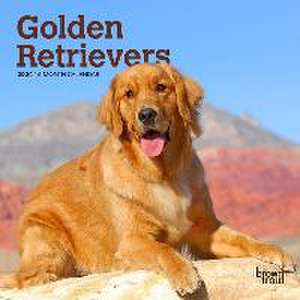 Golden Retrievers 2024 Mini 7x7 de Browntrout