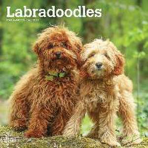 LABRADOODLES 2024 SQUARE