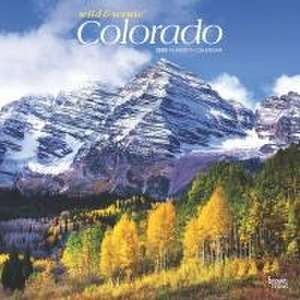 Colorado Wild & Scenic 2025 12 X 24 Inch Monthly Square Wall Calendar Plastic-Free de Browntrout