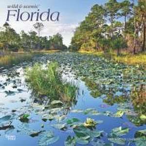 Florida Wild & Scenic 2025 12 X 24 Inch Monthly Square Wall Calendar Plastic-Free de Browntrout