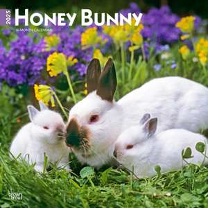 Honey Bunny 2025 12 X 24 Inch Monthly Square Wall Calendar Plastic-Free Browntrout Domestic Small Cute Animals de Browntrout