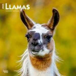 Llamas 2025 12 X 24 Inch Monthly Square Wall Calendar Plastic-Free de Browntrout