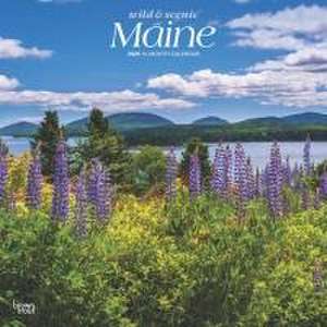 Maine Wild & Scenic 2025 12 X 24 Inch Monthly Square Wall Calendar Plastic-Free de Browntrout