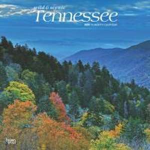 Tennessee Wild & Scenic 2025 12 X 24 Inch Monthly Square Wall Calendar Plastic-Free de Browntrout