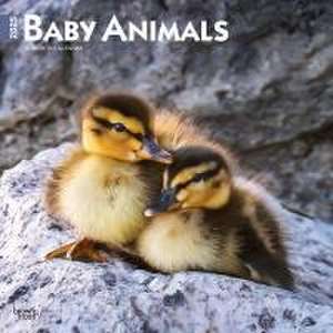 Baby Animals 2025 12 X 24 Inch Monthly Square Wall Calendar Plastic-Free de Browntrout