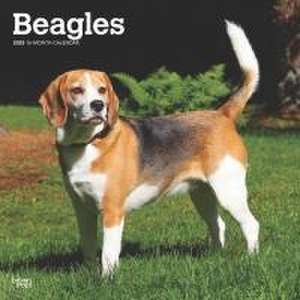 Beagles 2025 12 X 24 Inch Monthly Square Wall Calendar Plastic-Free de Browntrout