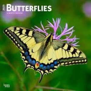 Butterflies 2025 12 X 24 Inch Monthly Square Wall Calendar Plastic-Free de Browntrout