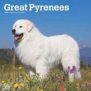 Great Pyrenees 2025 12 X 24 Inch Monthly Square Wall Calendar Plastic-Free de Browntrout