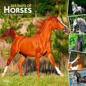 365 Days of Horses 2025 12 X 24 Inch Monthly Square Wall Calendar Plastic-Free de Browntrout