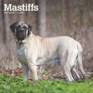 Mastiffs 2025 12 X 24 Inch Monthly Square Wall Calendar Plastic-Free de Browntrout