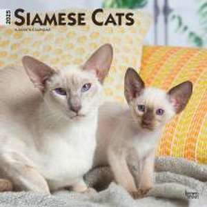 Siamese Cats 2025 12 X 24 Inch Monthly Square Wall Calendar Plastic-Free de Browntrout