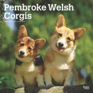 Pembroke Welsh Corgis 2025 12 X 24 Inch Monthly Square Wall Calendar Plastic-Free de Browntrout