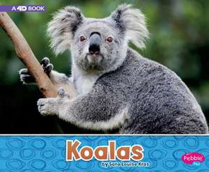 Koalas de Sara Louise Kras