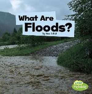 What Are Floods? de Mari Schuh