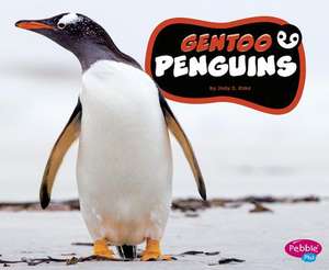 Gentoo Penguins de Jody S. Rake