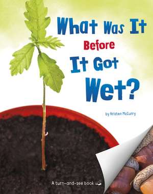 What Was It Before It Got Wet? de Kristen Mccurry