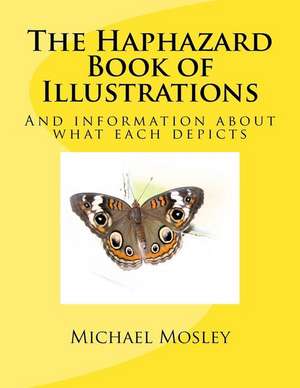 The Haphazard Book of Illustrations de Mosley, MR Michael Wendell