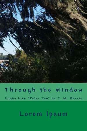 Through the Window de Lorem Ipsum