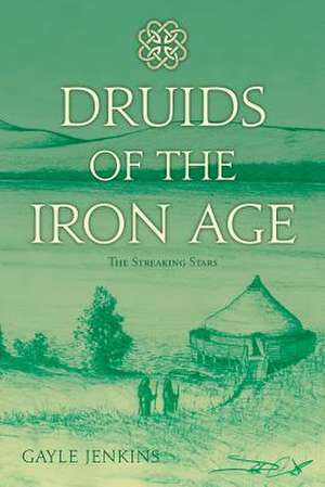 Druids of the Iron Age de Jenkins, Gayle