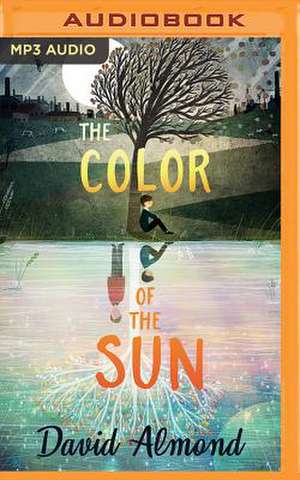 The Color of the Sun de David Almond