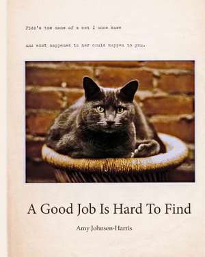 A Good Job Is Hard to Find de Johnsen-Harris, Amy