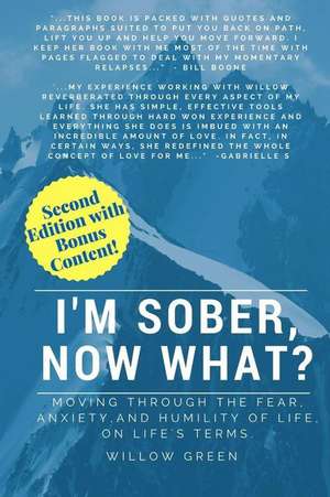 I'm Sober, Now What? de Green, Willow