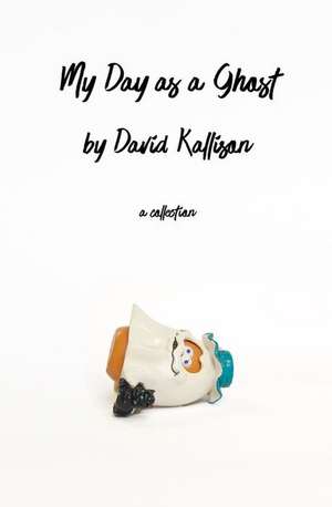 My Day as a Ghost de David Kallison