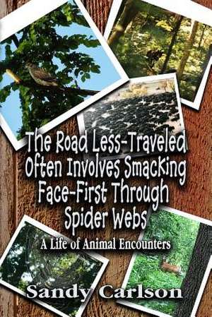 The Road Less-Traveled Often Involves Smacking Face-First Through Spider Webs de Sandy Carlson