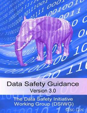 Data Safety Guidance V3.0 de Data Safety Initiative Working Group