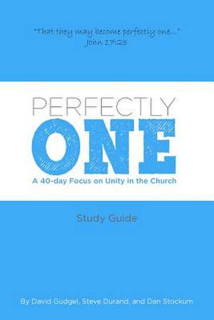 Perfectly One de David Gudgel