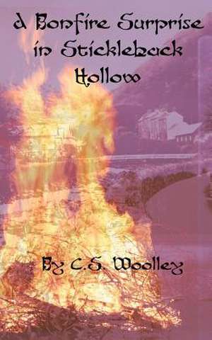 A Bonfire Surprise in Stickleback Hollow de C. S. Woolley