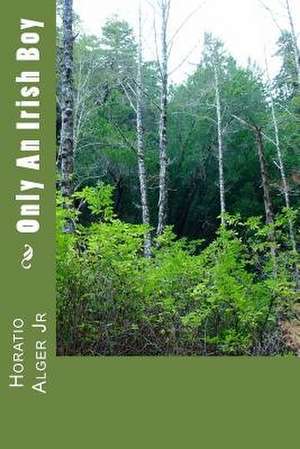 Only an Irish Boy de Horatio Alger Jr.