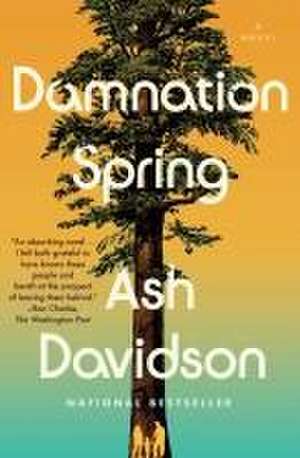 Damnation Spring de Ash Davidson