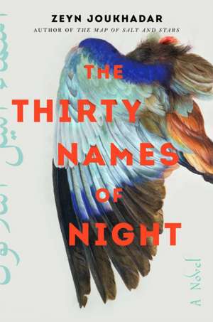 Thirty Names of Night de Zeyn Joukhadar