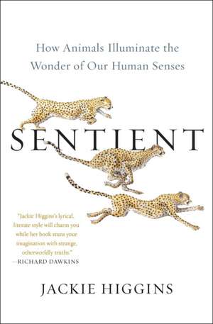 Sentient: How Animals Illuminate the Wonder of Our Human Senses de Jackie Higgins