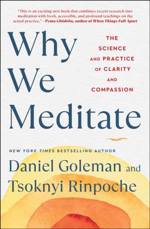 Why We Meditate de Daniel Goleman