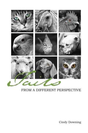 Tails from a Different Perspective de Cindy Downing