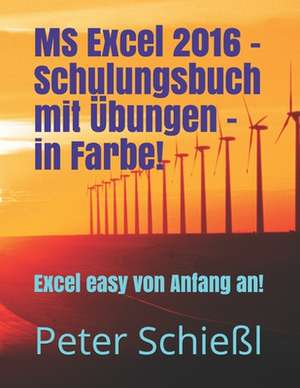 MS Excel 2016 - Schulungsbuch Mit Übungen - In Farbe!: Excel Easy Von Anfang an de Peter Schiel