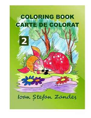 Coloring Book 2 de Zandes, Ioan Stefan