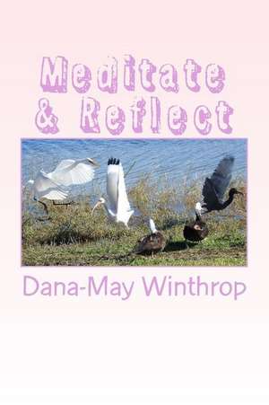 Meditate and Reflect de Dana-May Winthrop