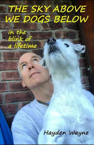 The Sky Above We Dogs Below-In the Blink of a Lifetime de MR Hayden Wayne