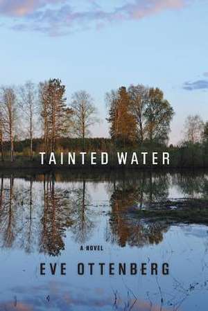 Tainted Water de Stone, Eve Ottenberg