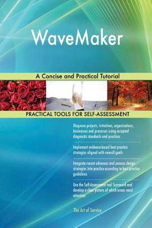 Wavemaker de Blokdyk, Gerardus