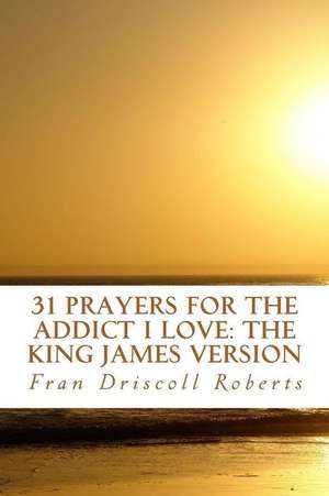 31 Prayers for the Addict I Love de Fran Driscoll Roberts