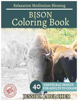 Bison Coloring Book for Adults Relaxation Meditation Blessing de Belcher, Jessica