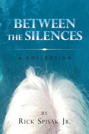 Between the Silences de Rick Spisak Jr.